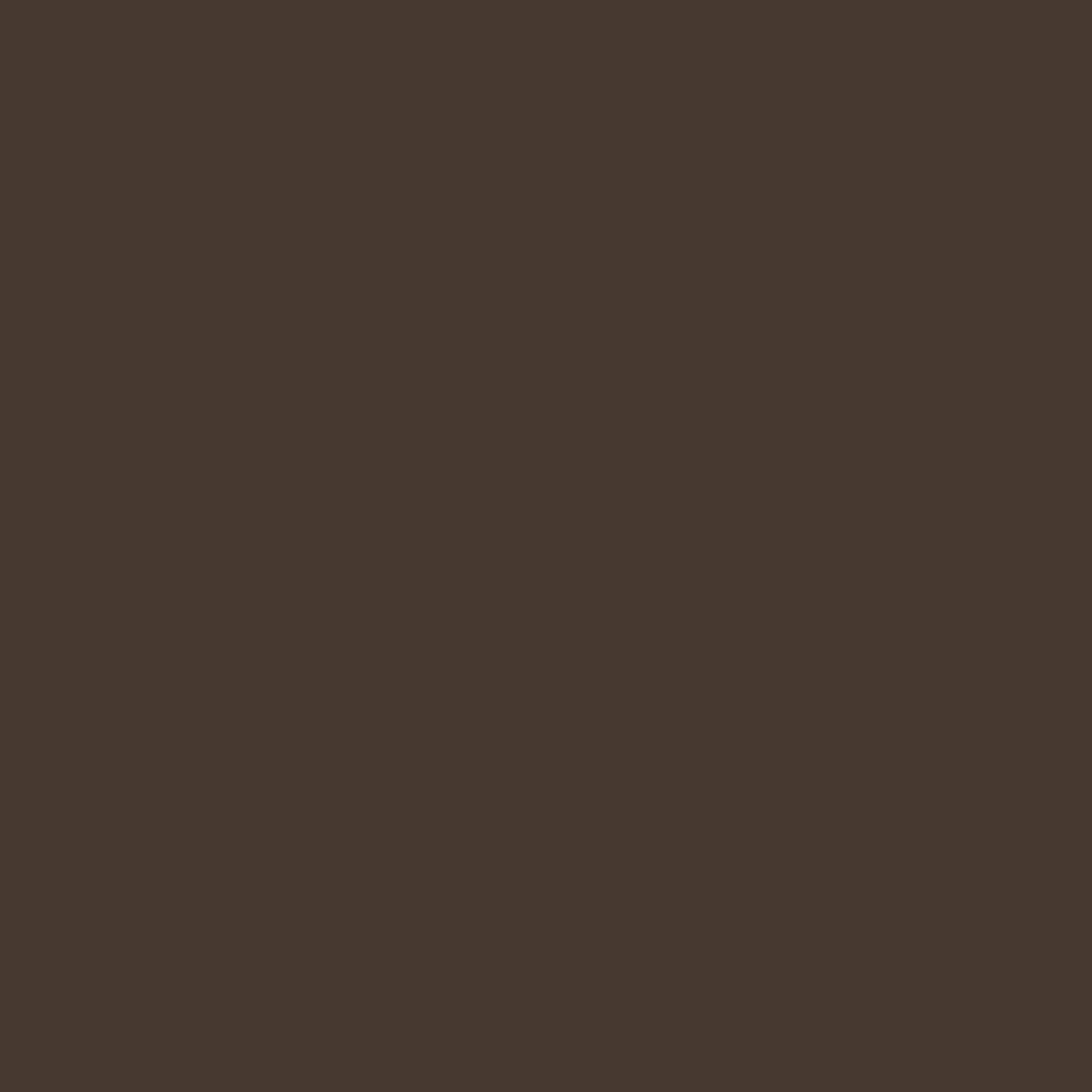 Liftique™ - Instant Brow Brush